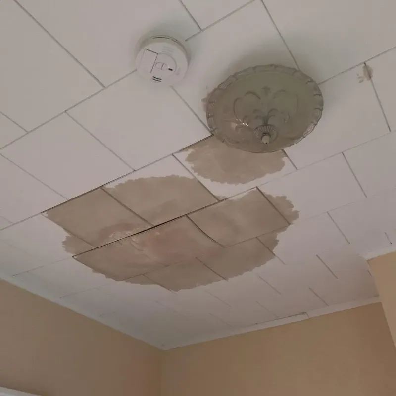 Ceiling Water Damage Repair in Middleborough Center, MA