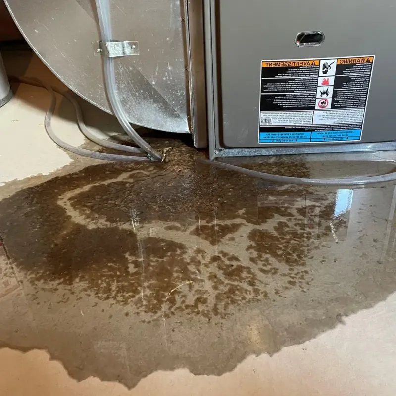 Pipe Burst and Leak Restoration in Middleborough Center, MA