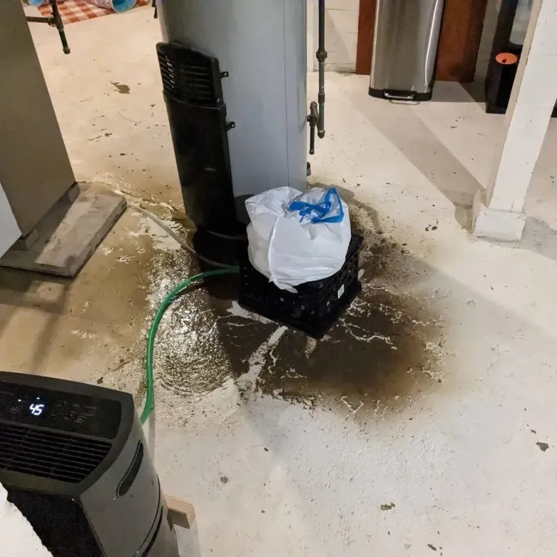 Sewage Backup Cleanup Service in Middleborough Center, MA